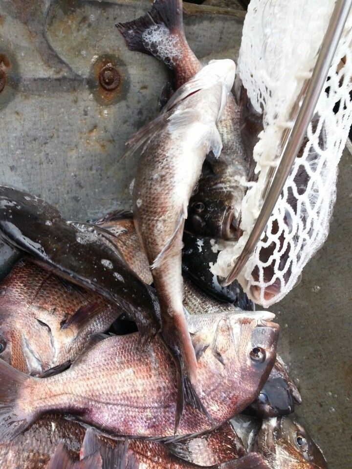 KakaoTalk_20140523_110106162.jpg