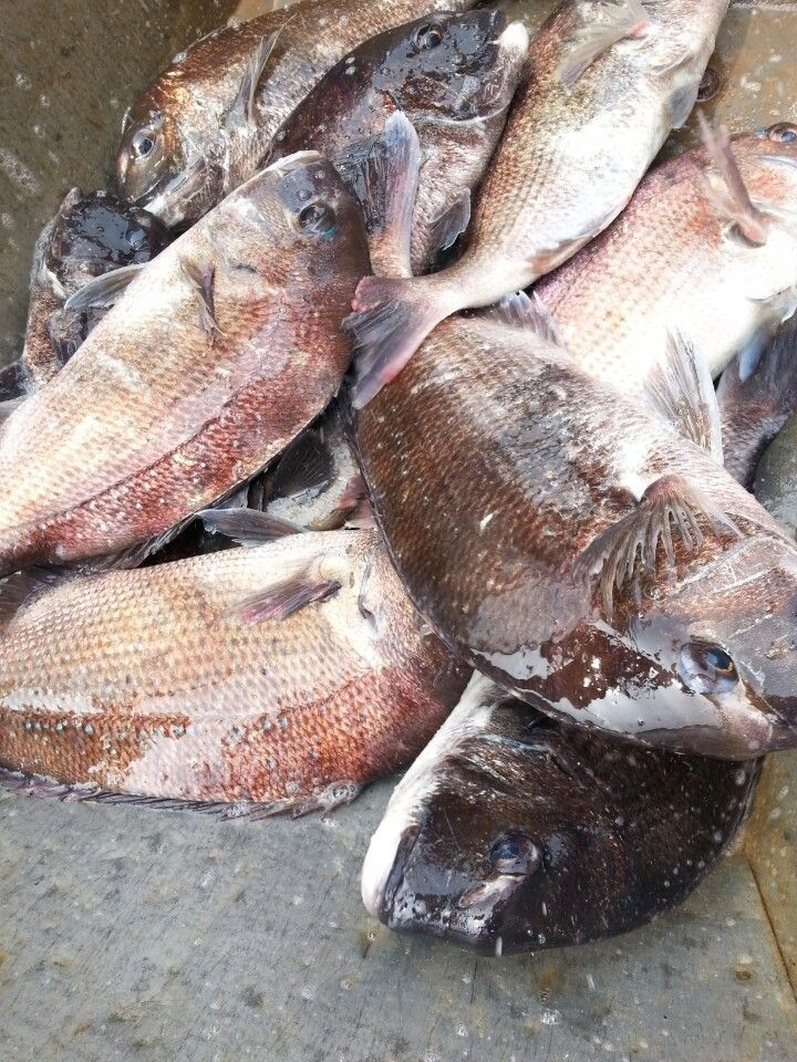 KakaoTalk_20140523_110114518.jpg