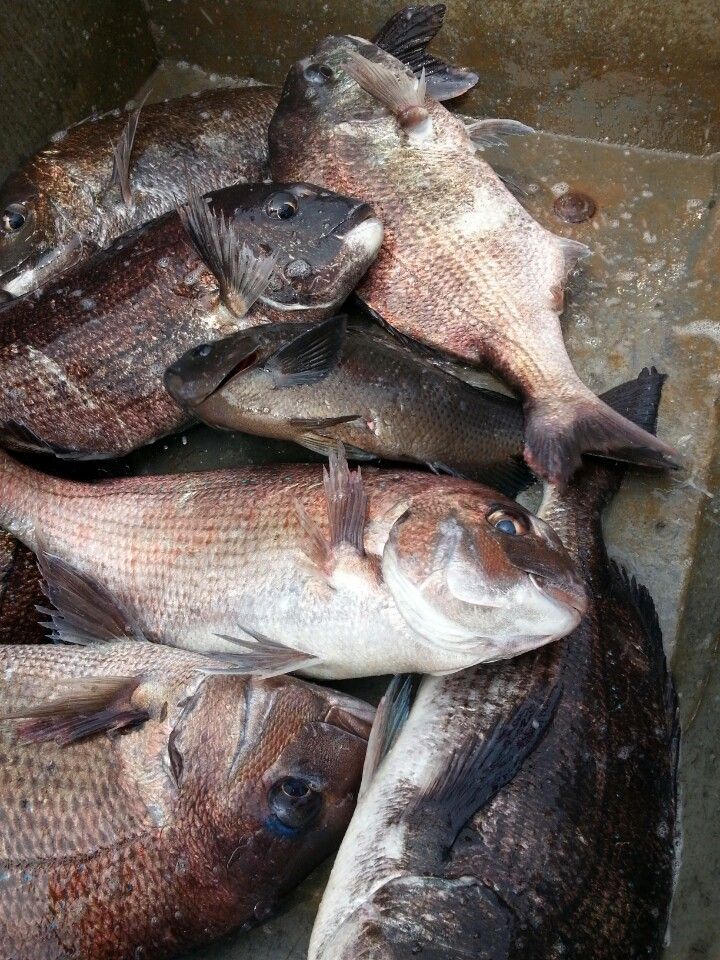 KakaoTalk_20140523_110115387.jpg