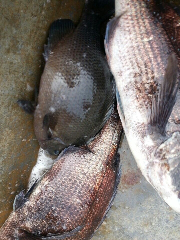 KakaoTalk_20140523_110117445.jpg