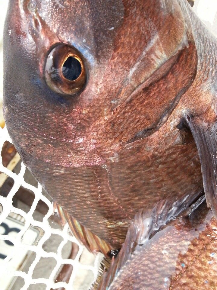 KakaoTalk_20140523_110203898.jpg
