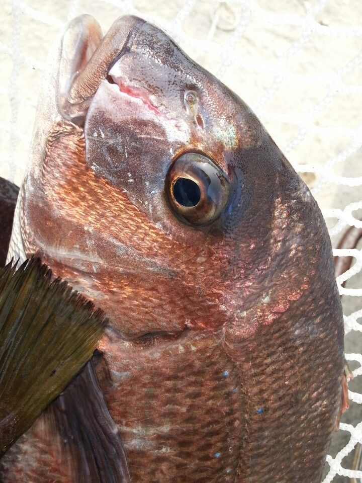KakaoTalk_20140523_110204458.jpg