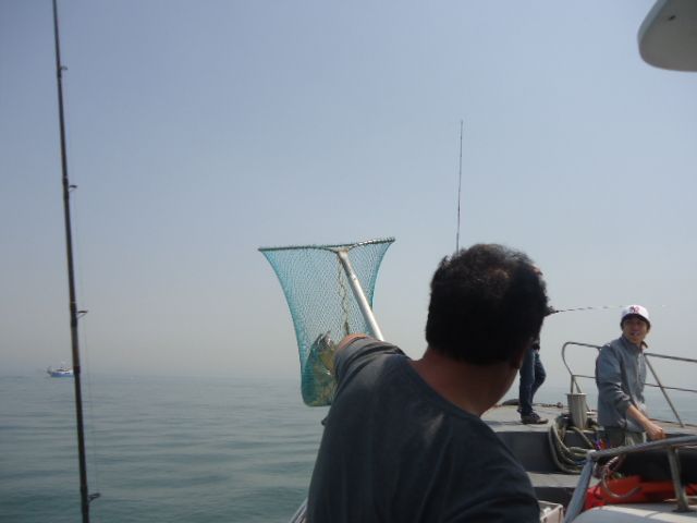 14530  034.jpg