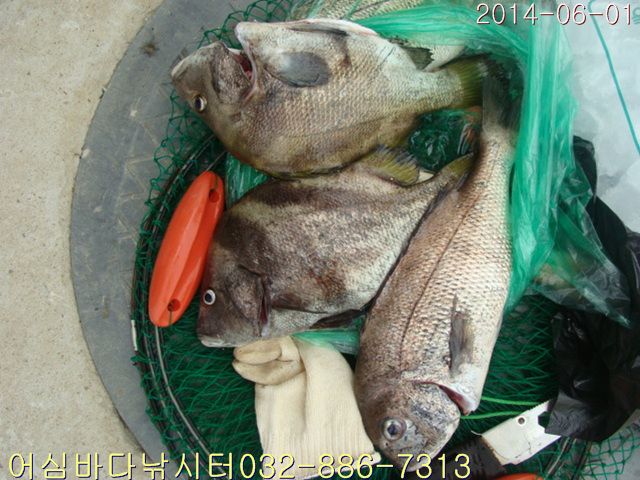 ����2 001.jpg