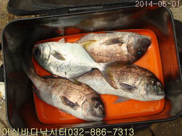 ����2 002.jpg