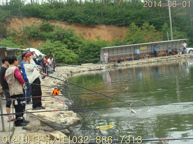 ����2 005.jpg