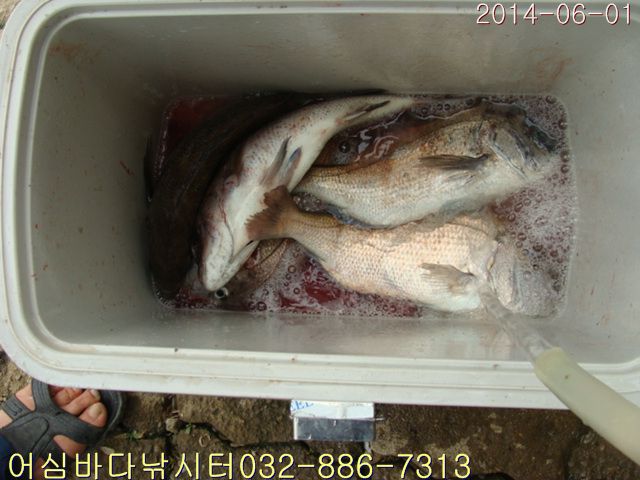 ����2 007.jpg