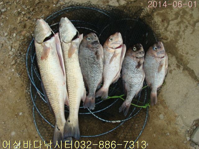 ����2 008.jpg