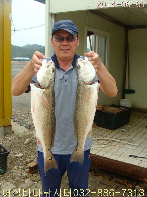 ����2 010.jpg