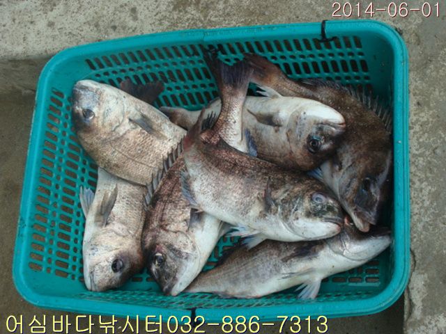 ����2 011.jpg