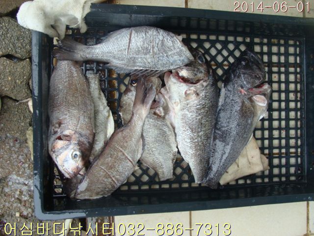 ����2 013.jpg