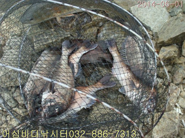 ����2 014.jpg