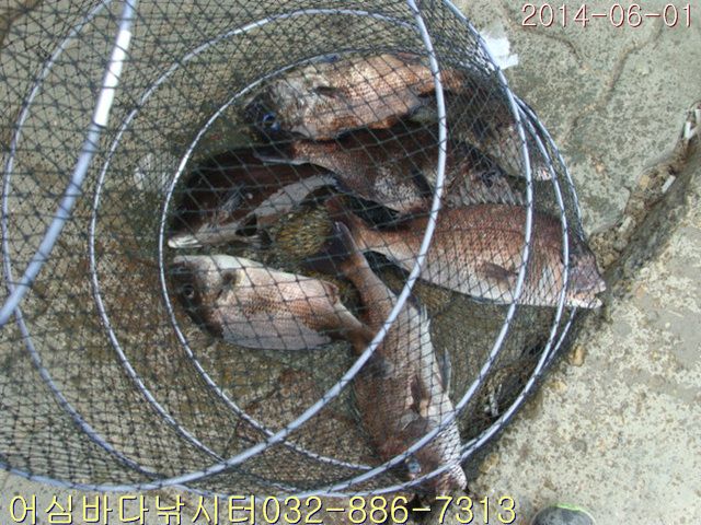 ����2 016.jpg