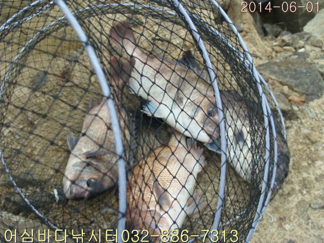 ����2 018.jpg