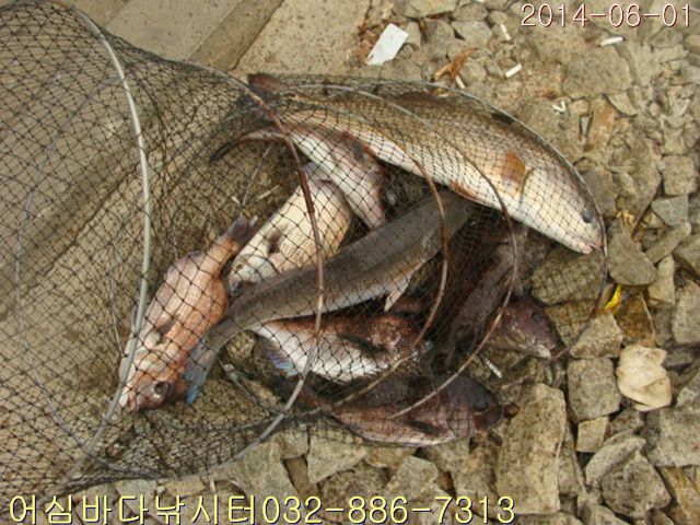 ����2 021.jpg