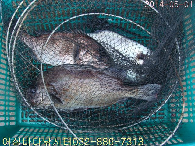 ����2 024.jpg