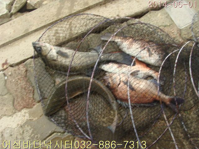 ����2 023.jpg