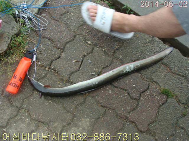 ����2 007.jpg