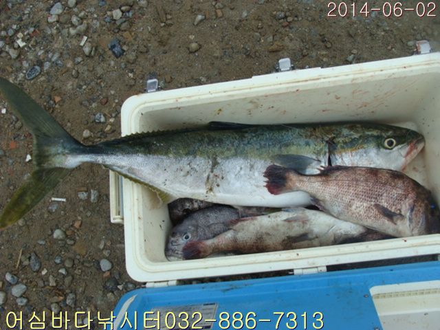 ����2 008.jpg