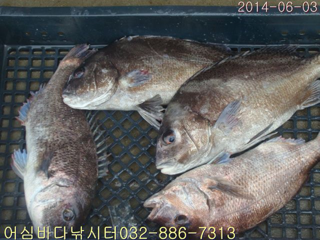 ����2 002.jpg