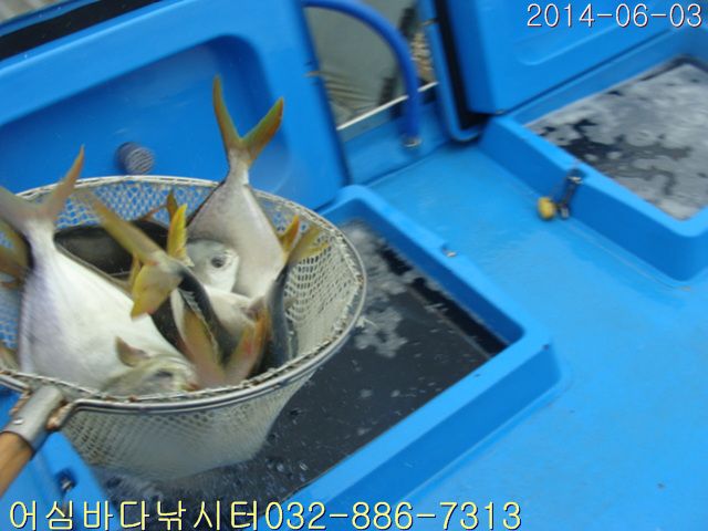 ����2 006.jpg