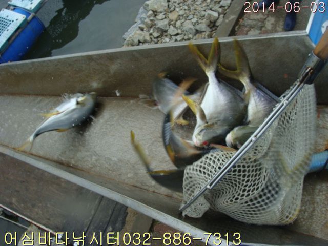 ����2 005.jpg