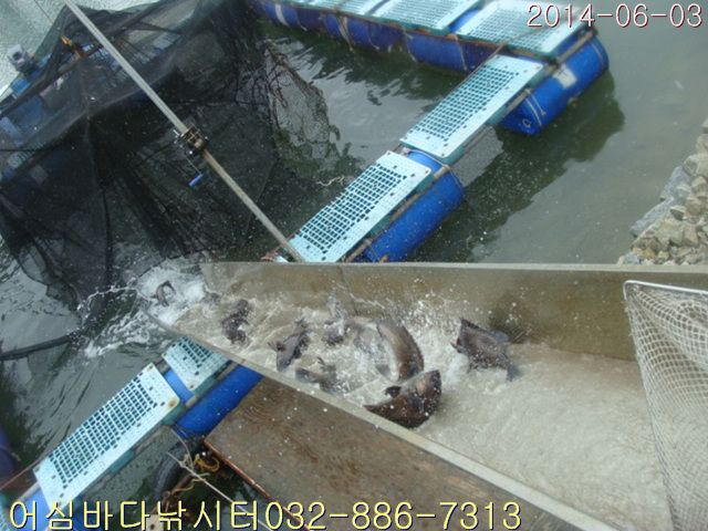 ����2 009.jpg