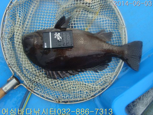 ����2 011.jpg