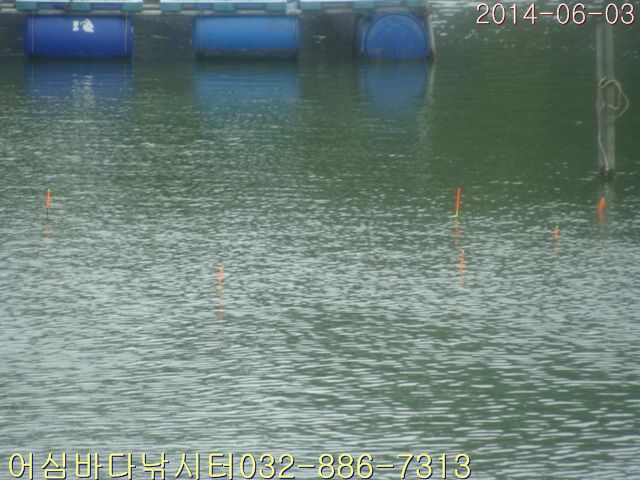 ����2 010.jpg