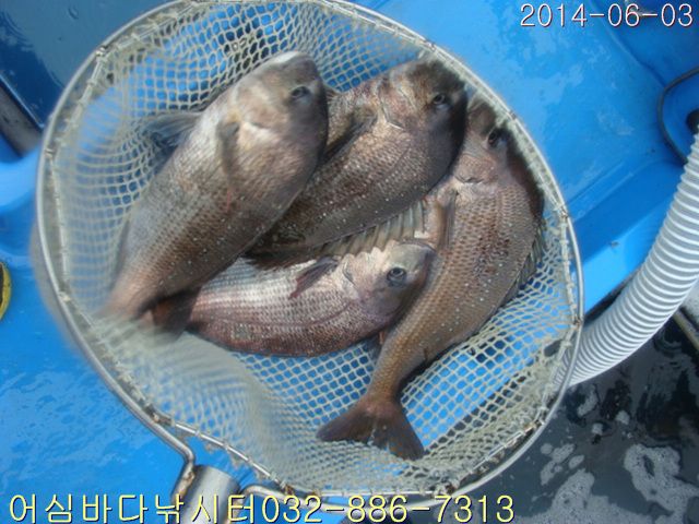 ����2 013.jpg