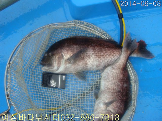 ����2 016.jpg