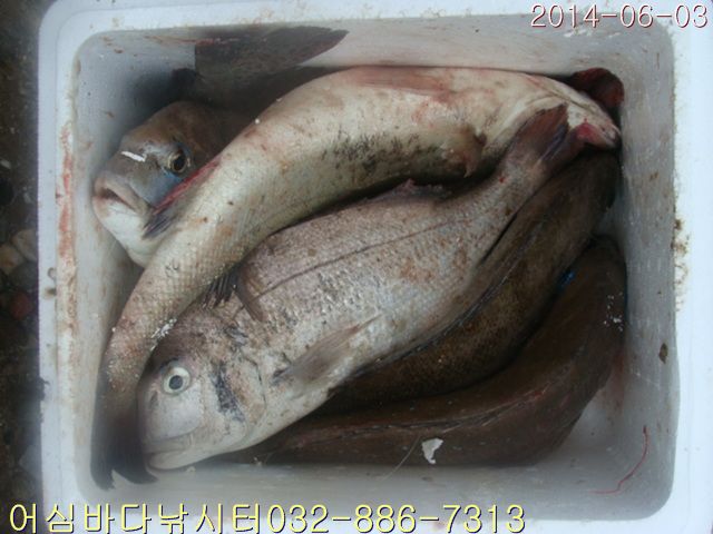 ����2 018.jpg