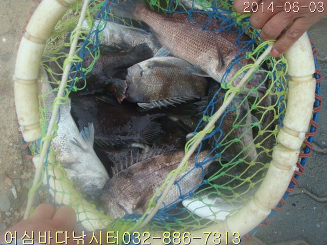 ����2 023.jpg