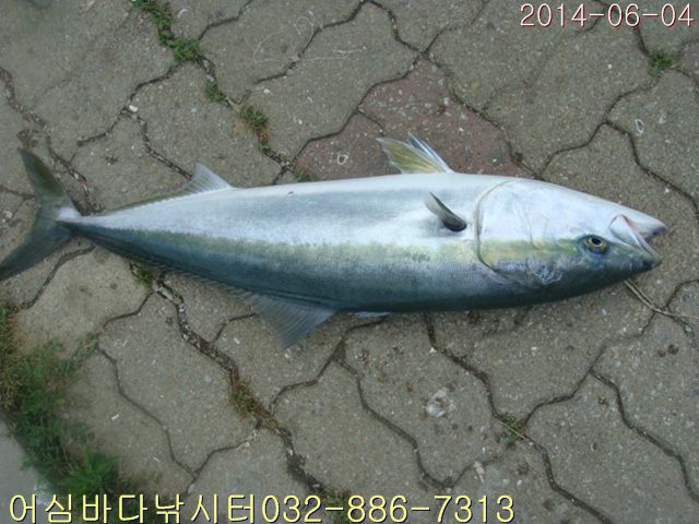 ����2 007.jpg