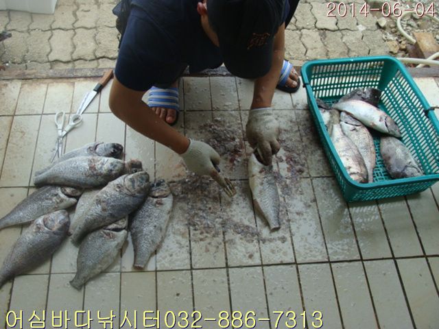 ����2 009.jpg