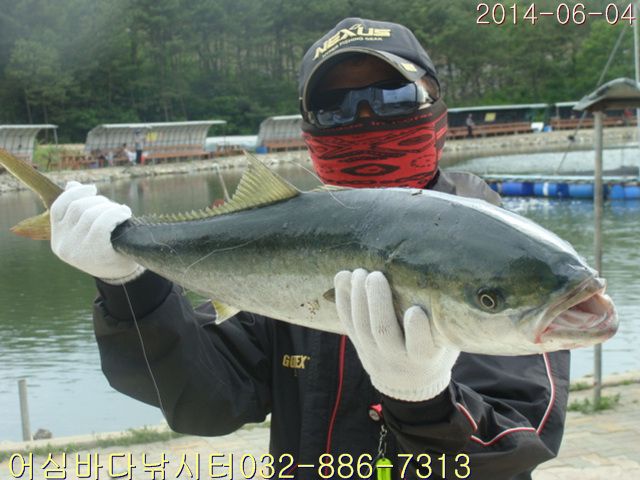 ����2 010.jpg