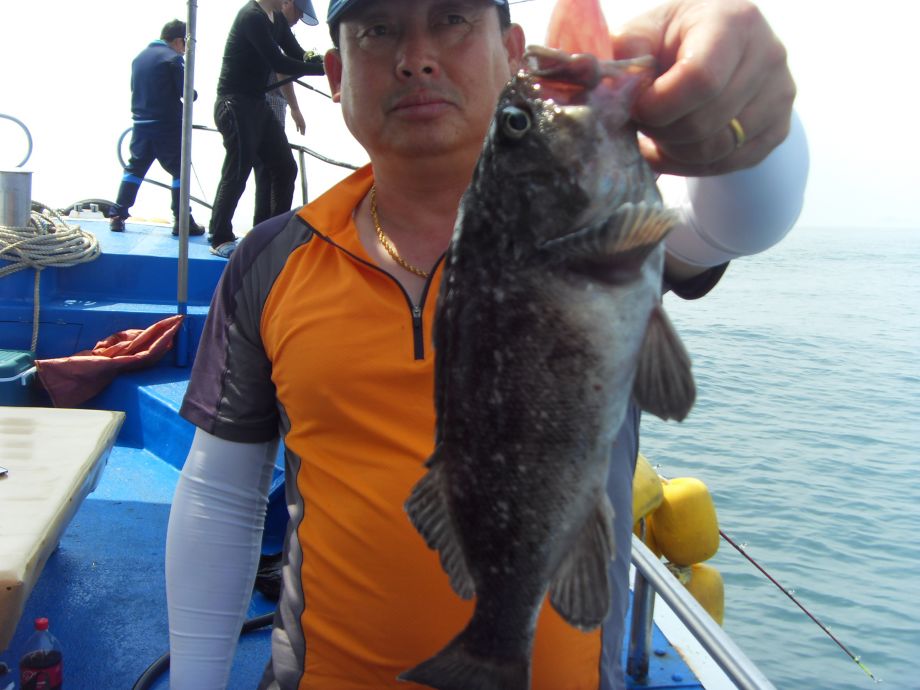 SDC11357.JPG