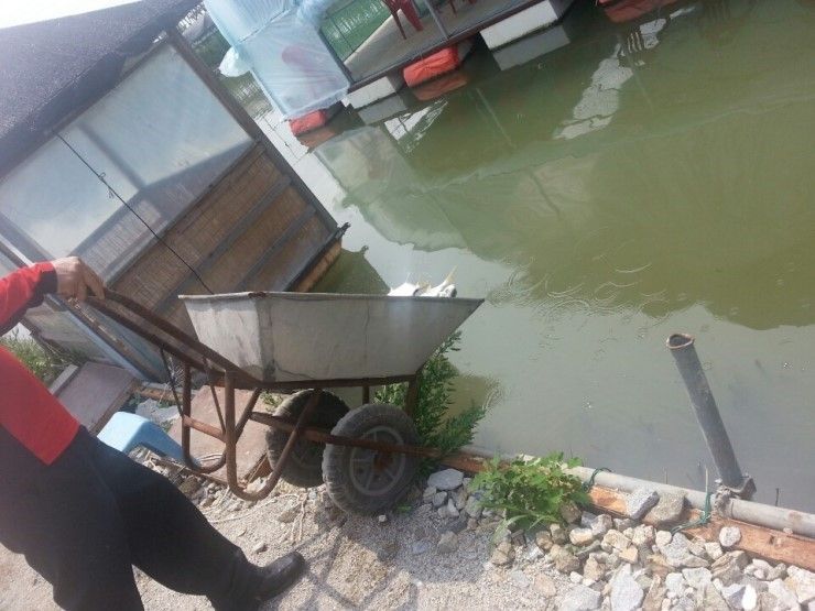 KakaoTalk_20140613_110709099.jpg