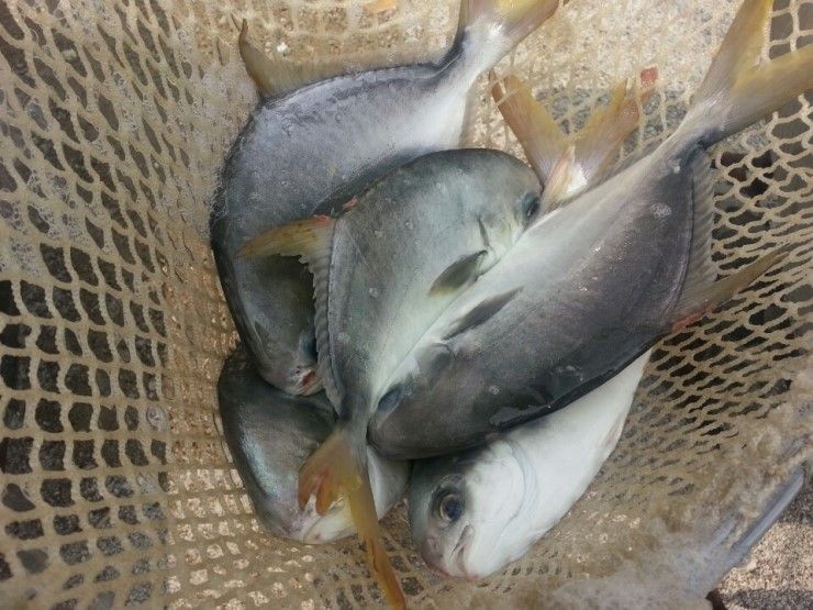 KakaoTalk_20140613_110632263.jpg