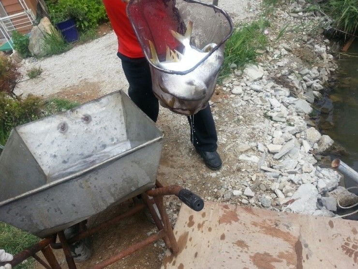KakaoTalk_20140613_110633058.jpg