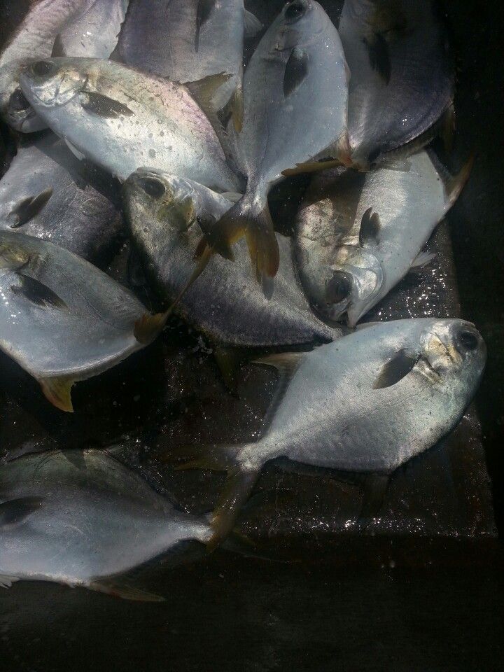 KakaoTalk_20140613_110726501.jpg