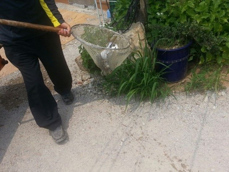 KakaoTalk_20140618_122302794.jpg