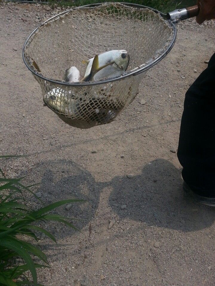 KakaoTalk_20140618_122539985.jpg