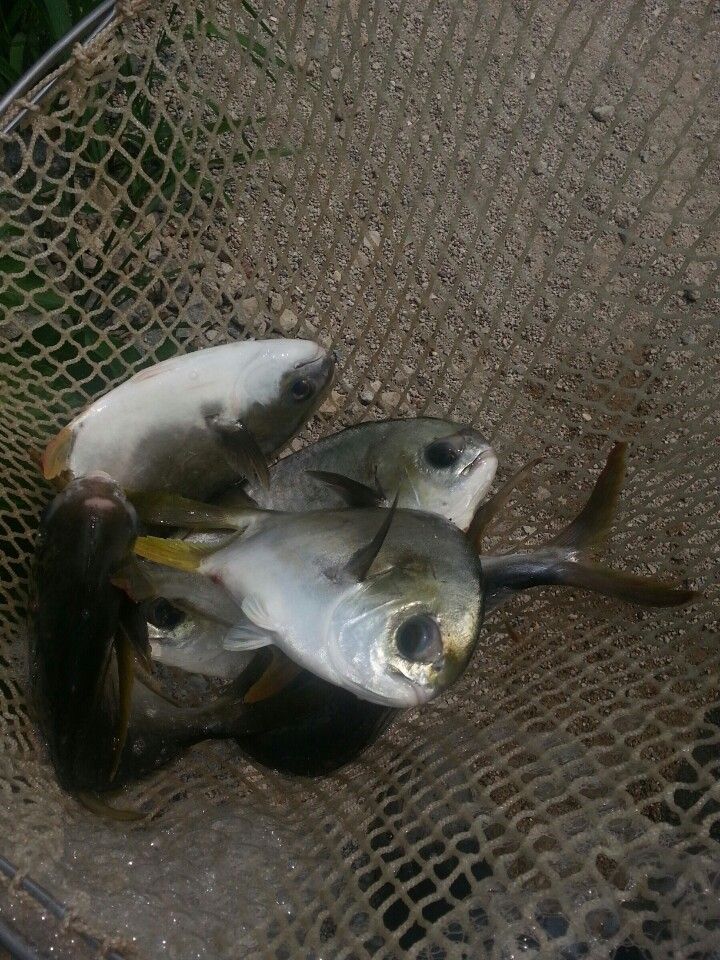 KakaoTalk_20140618_122540326.jpg