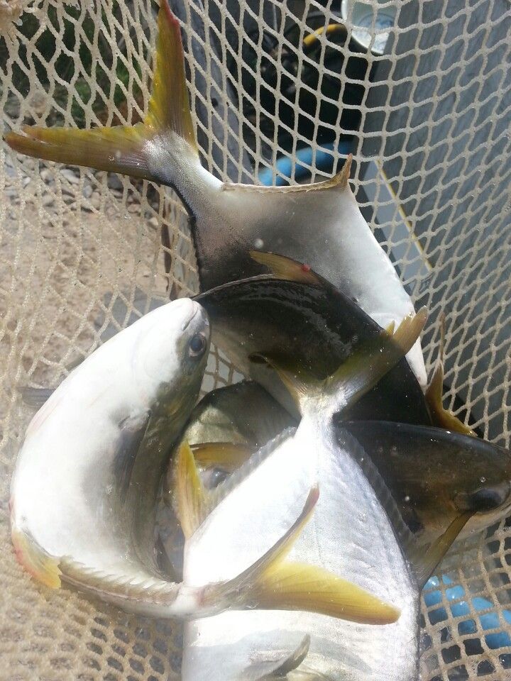KakaoTalk_20140618_122540819.jpg
