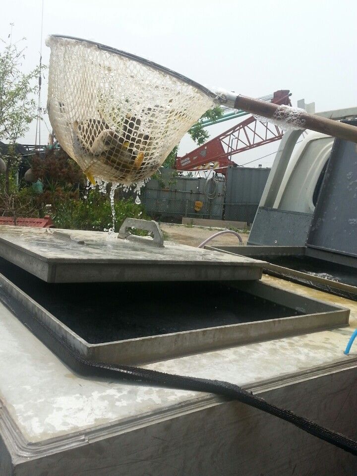 KakaoTalk_20140618_122541103.jpg