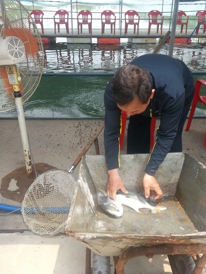 KakaoTalk_20140618_122616780.jpg