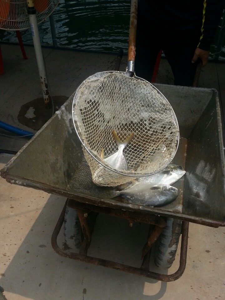 KakaoTalk_20140618_122618520.jpg
