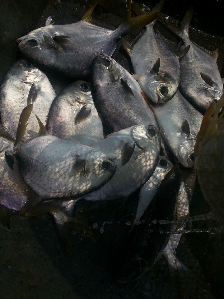 KakaoTalk_20140618_122742848.jpg