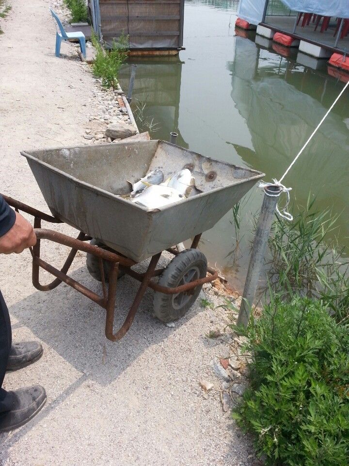 KakaoTalk_20140618_122745532.jpg